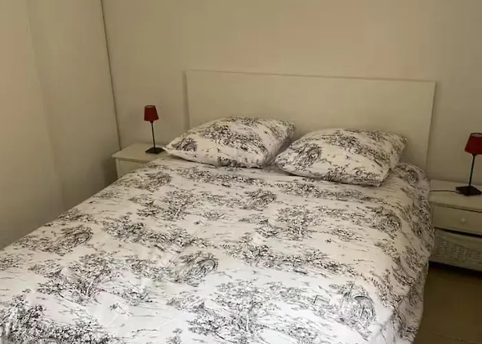 Maisonnette Ti Lezard Au Calme A 100 Metres De La * フロンティニャン