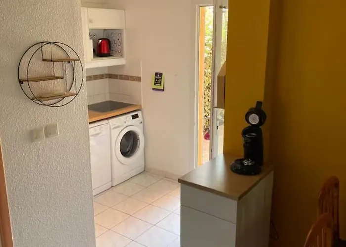 Maisonnette Ti Lezard Au Calme A 100 Metres De La フロンティニャン